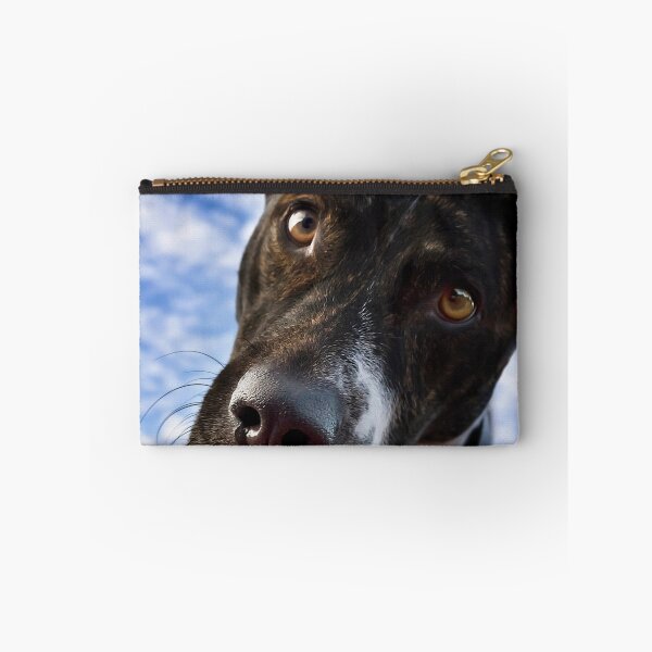 Item preview, And Why Is That? designed and sold by Alex Preiss.