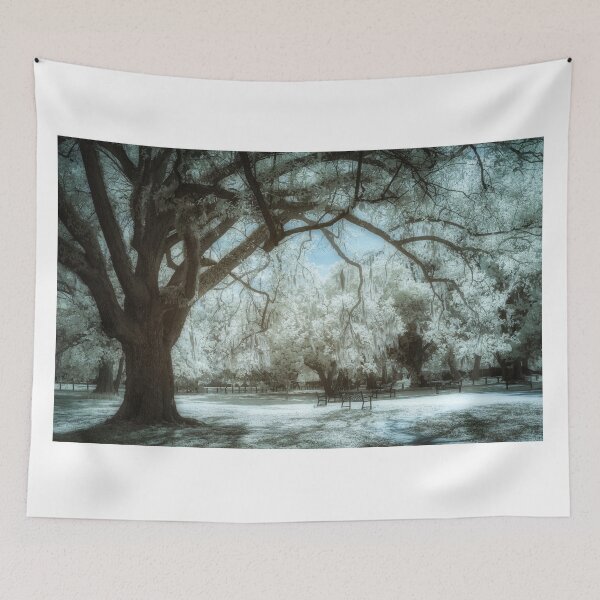 Item preview, New Orleans Audubon Park Infrared designed and sold by Gerard Fornarotto.