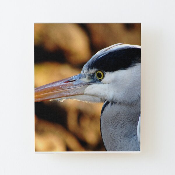 vogel Aufgezogener Druck auf Holz