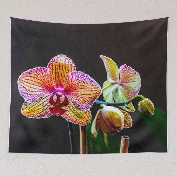 Item preview, Orchid in bloom designed and sold by Bryan Spellman.