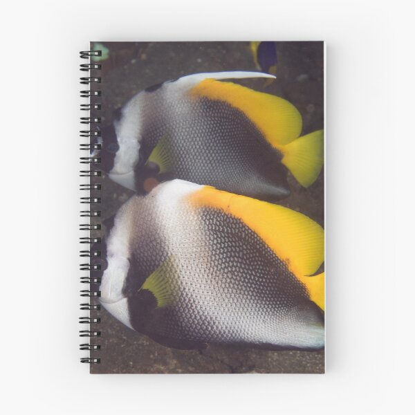 Item preview, Singular Bannerfish designed and sold by Mark Rosenstein.