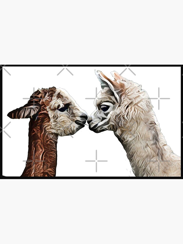 Alpaca Llama Kiss Love Cute Photographic Print