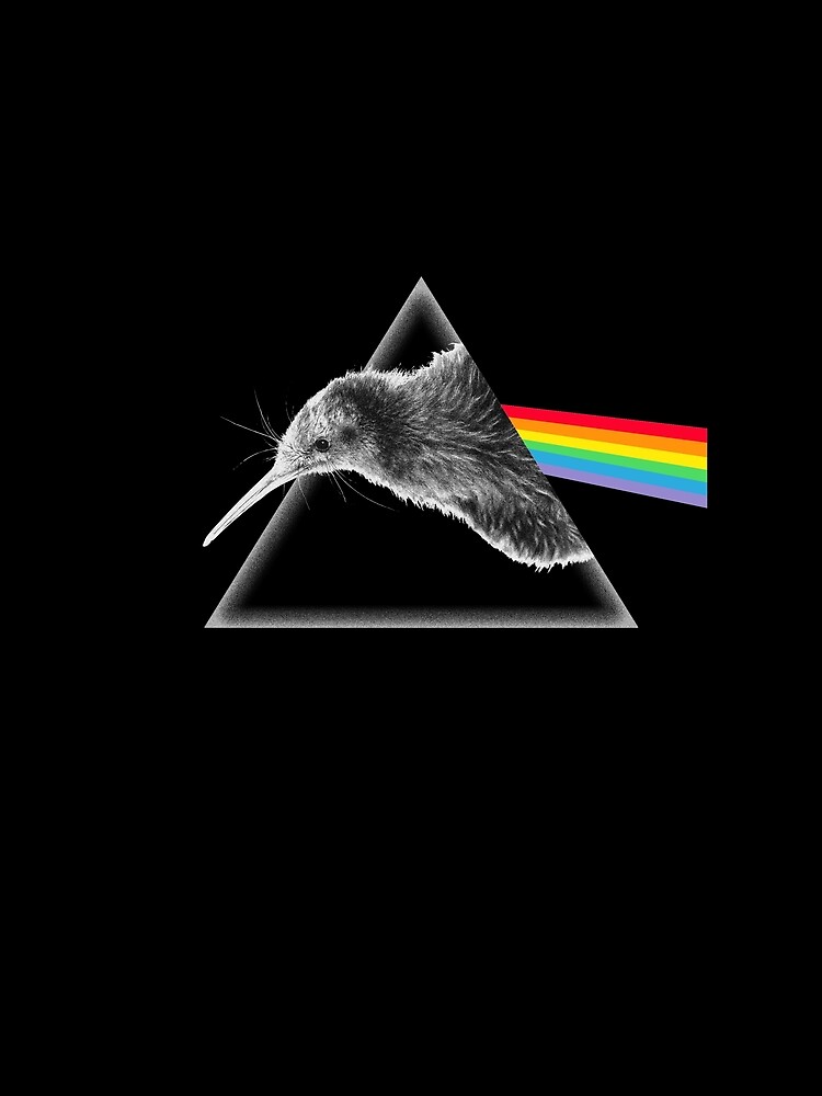 The Kiwi Side of Rock by RaymundoSouza