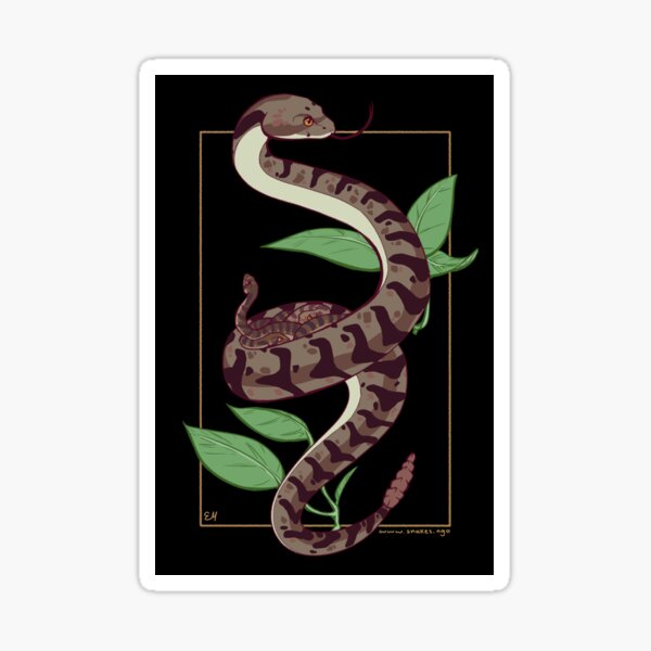 Timber Rattlesnake Family Sticker