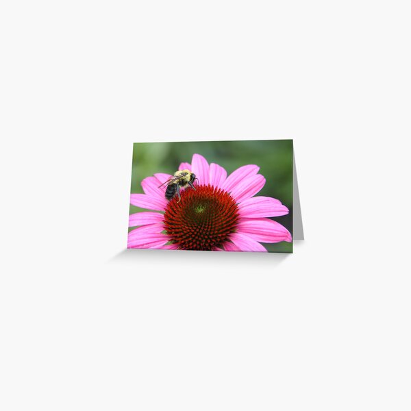 Busy as a.... Greeting Card