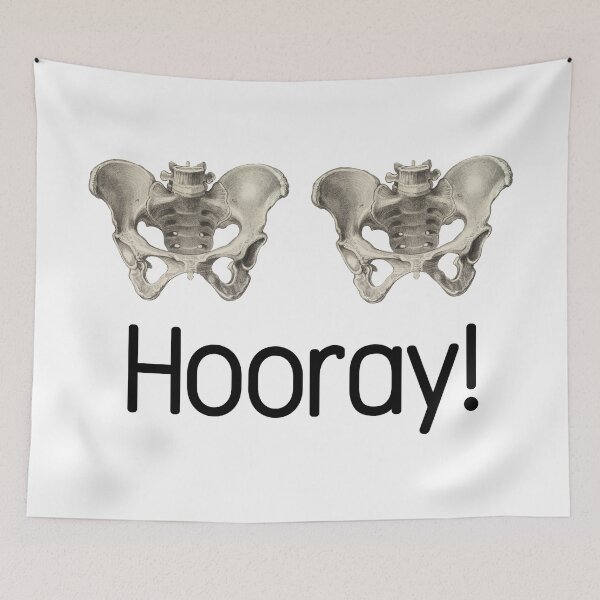 Item preview, hip hip hooray pelvis anatomy designed and sold by mvsoileau.