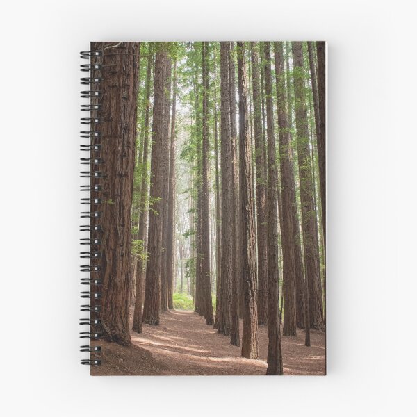 Item preview, Redwood Forest, Warburton, Victoria designed and sold by Gabrielle Pattenden.