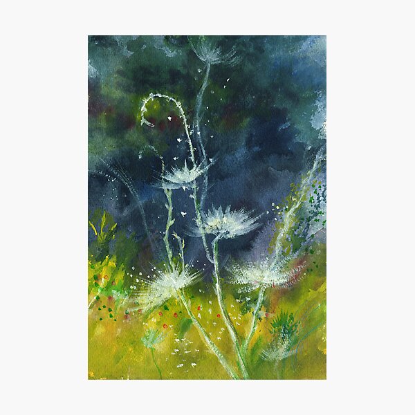White Flower 2 Photographic Print