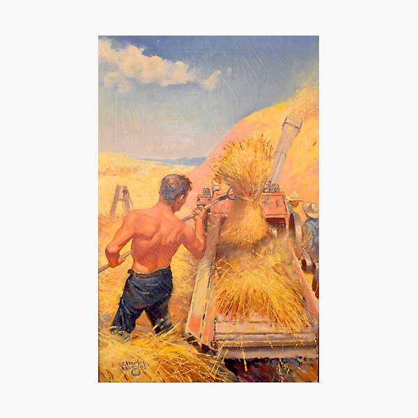 Threshing in Dakota Photographic Print