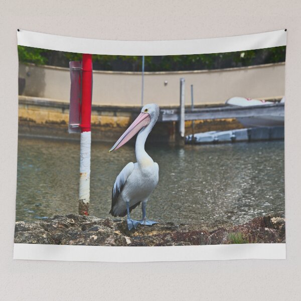 Item preview, A Beautiful Pelican On The Canal Rocks In Mandurah, Western Australia. A high detail photo showing off the large eyes and even the tiniest facial features designed and sold by Jason Gilbert.