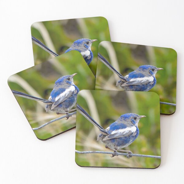 Item preview, white winged Fairy wren   ( Malurus Leucopterus ) designed and sold by auswr20000.