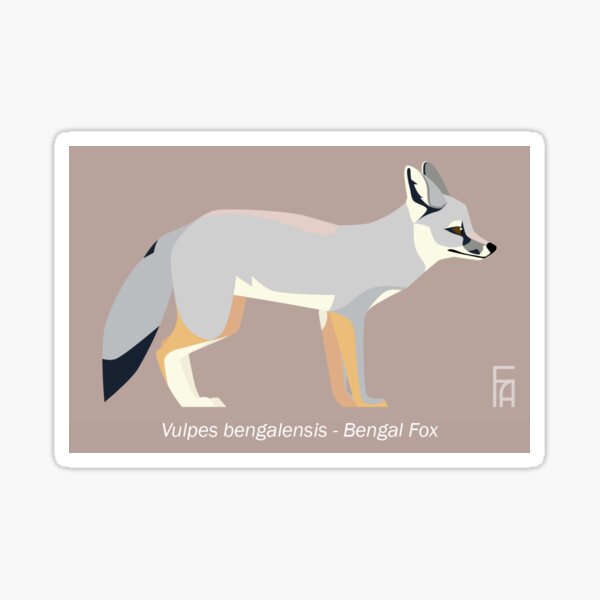 Bengal Fox