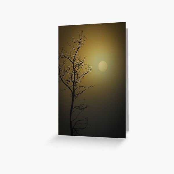 Morning skys Greeting Card