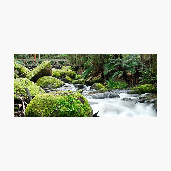 Bridge to falls Photographic Print