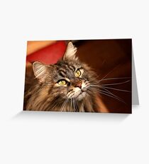 QUEEN Gucci, thank you Greeting Card