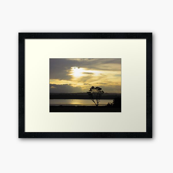 Item preview, Coles Bay Tree designed and sold by farq.
