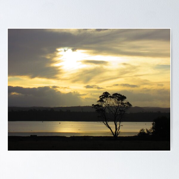 Item preview, Coles Bay Tree designed and sold by farq.
