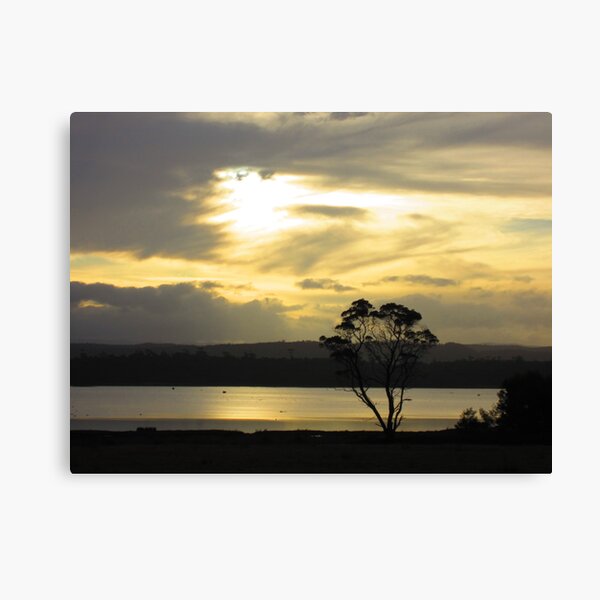 Item preview, Coles Bay Tree designed and sold by farq.