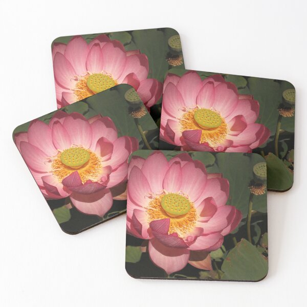 Item preview, Pink Lotus at the Blue Water Garden (AUS) designed and sold by elm321.