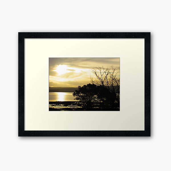 Item preview, Coles Bay Trees designed and sold by farq.
