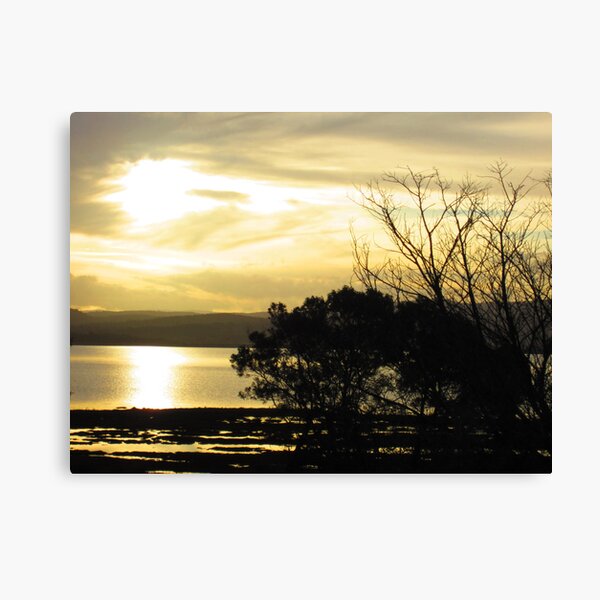 Item preview, Coles Bay Trees designed and sold by farq.