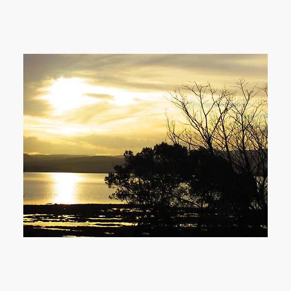 Item preview, Coles Bay Trees designed and sold by farq.