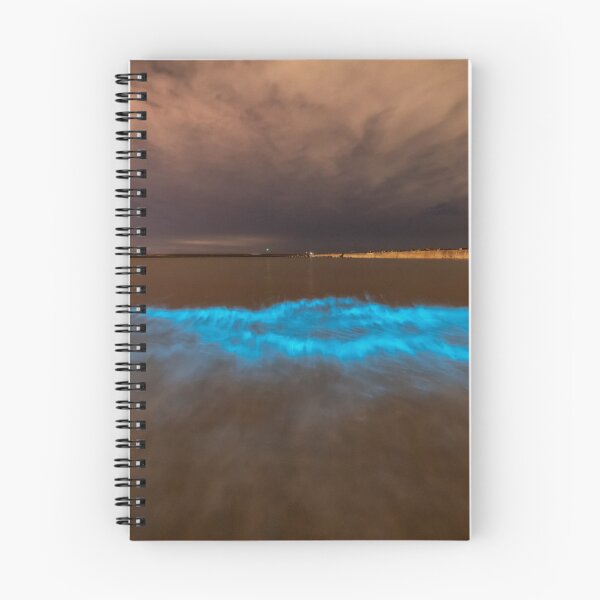 Item preview, Bioluminescent plankton at Aberavon, Wales designed and sold by Dan Santillo.
