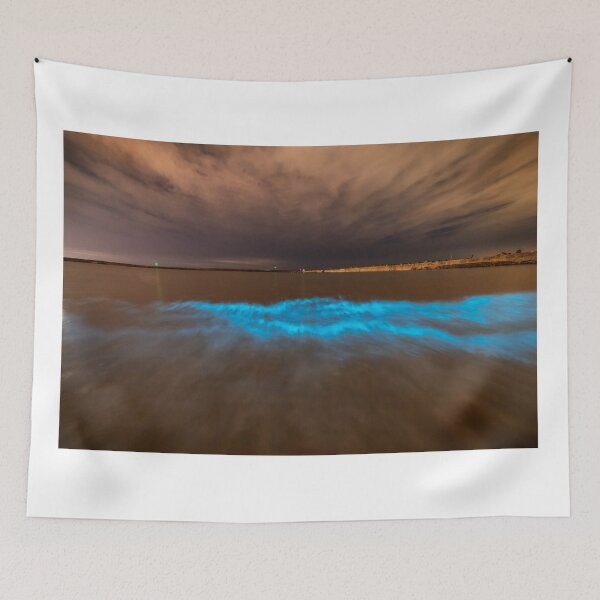 Item preview, Bioluminescent plankton at Aberavon, Wales designed and sold by Dan Santillo.