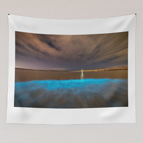 Item preview, Bioluminescent plankton at Aberavon, Wales designed and sold by Dan Santillo.
