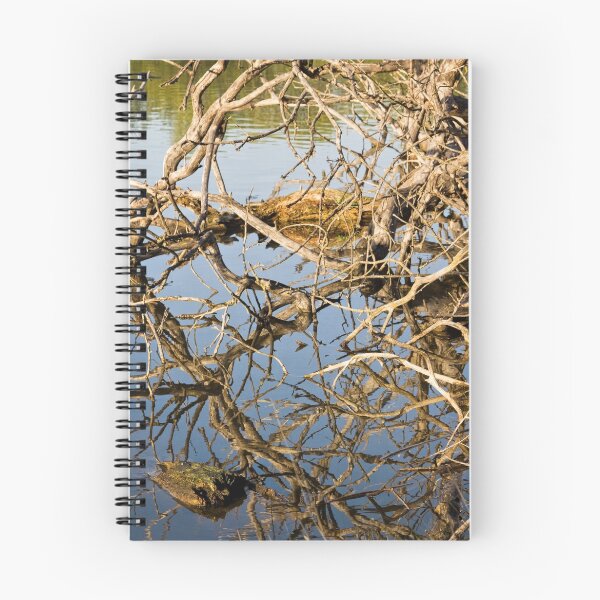 Item preview, Driftwood at an Early Morning Spring at Lake Burley Griffin in Canberra/ACT/Australia (3) designed and sold by Wolf Sverak Photography.