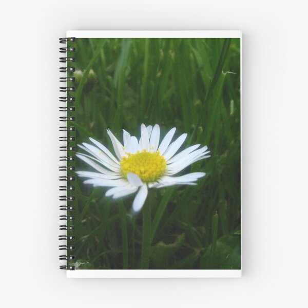 Item preview, Daisy designed and sold by James Searle.