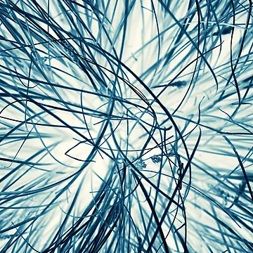 Artwork thumbnail, Pattern #4 by Stas Medvedev