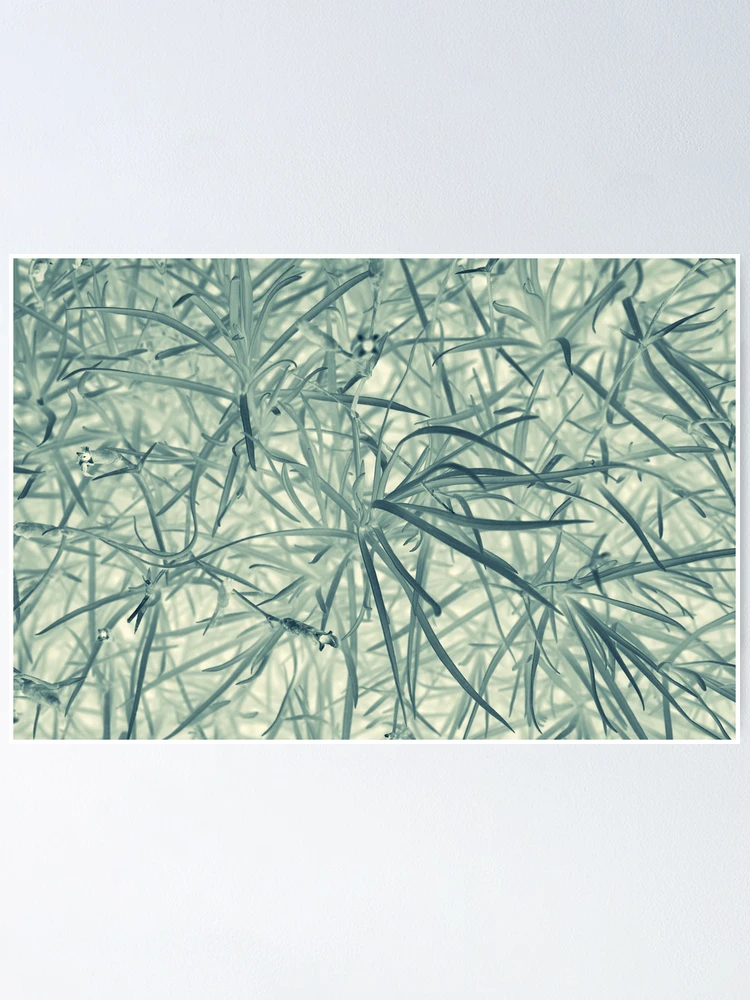 Thumbnail 1 of 3, Poster, Pattern #8 designed and sold by Stas Medvedev.