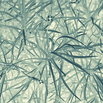 Artwork thumbnail, Pattern #8 by Stas Medvedev
