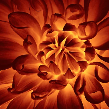 Artwork thumbnail, Pattern #10 by Stas Medvedev