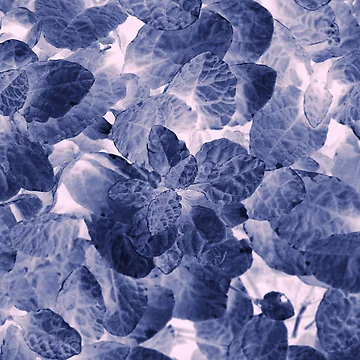 Artwork thumbnail, Pattern #11 by Stas Medvedev