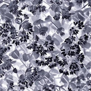 Artwork thumbnail, Pattern #12 by Stas Medvedev