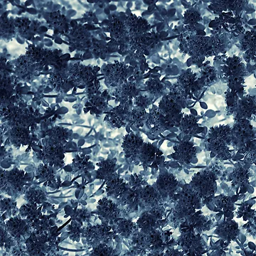 Artwork thumbnail, Pattern #14 by Stas Medvedev