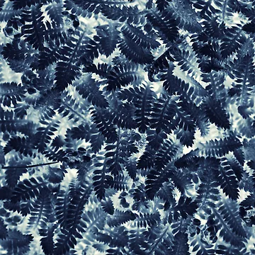 Artwork thumbnail, Pattern #15 by Stas Medvedev