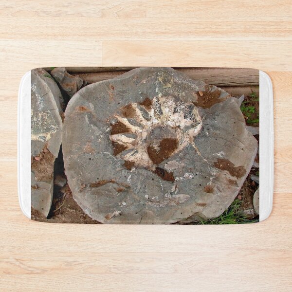 Item preview, Fossil Rock designed and sold by AnnDixon.