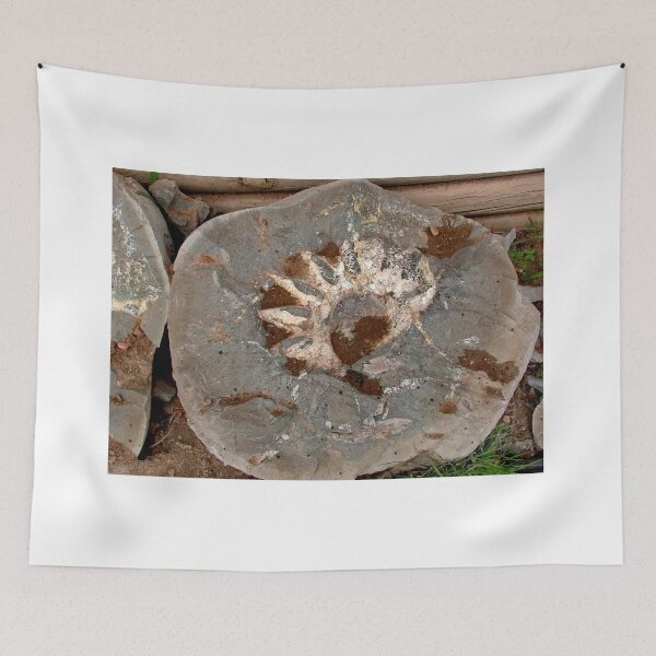 Item preview, Fossil Rock designed and sold by AnnDixon.
