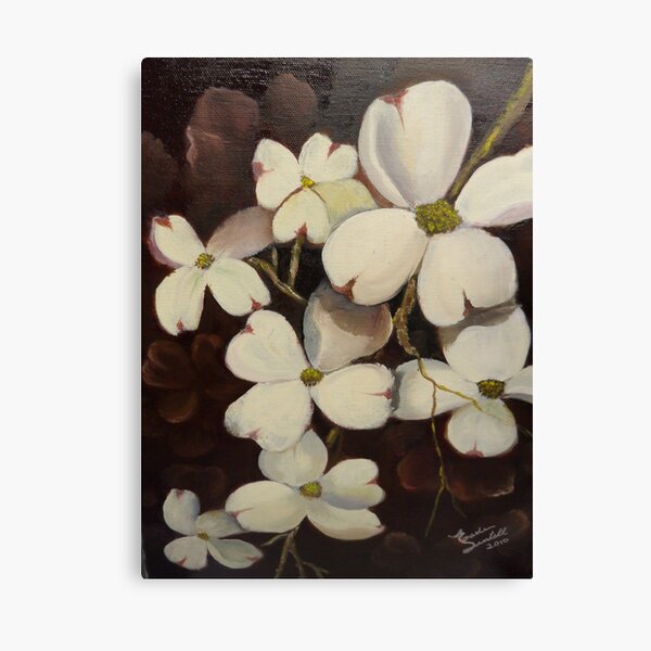 White Dogwood--Spring time in Tennessee Canvas Print