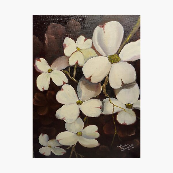 White Dogwood--Spring time in Tennessee Photographic Print