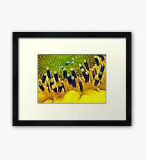 Standing Room Only! Framed Print