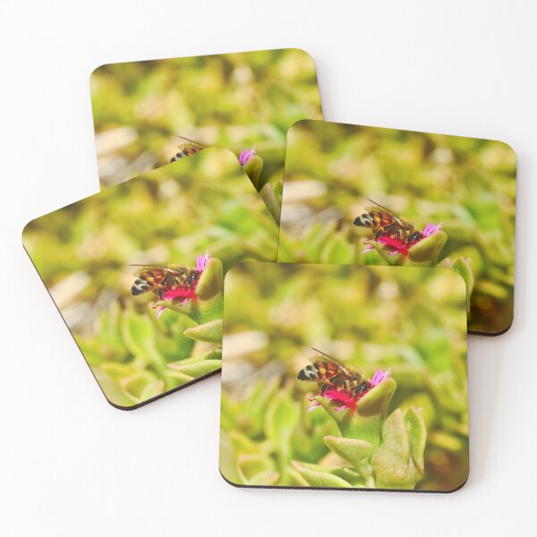 Item preview, A Bee Bee On A Succulent With A Pink Flower Bees designed and sold by Jason Gilbert.