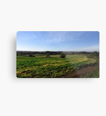 English Landscape Metal Print