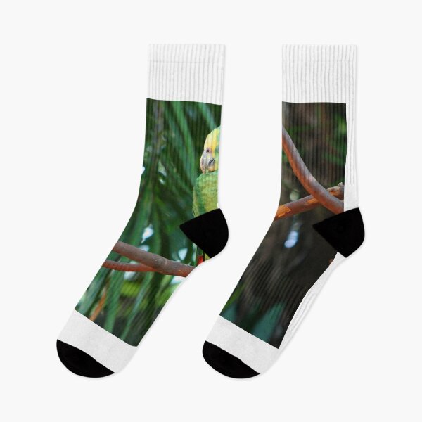 Item preview, Green Parrot designed and sold by AnnDixon.