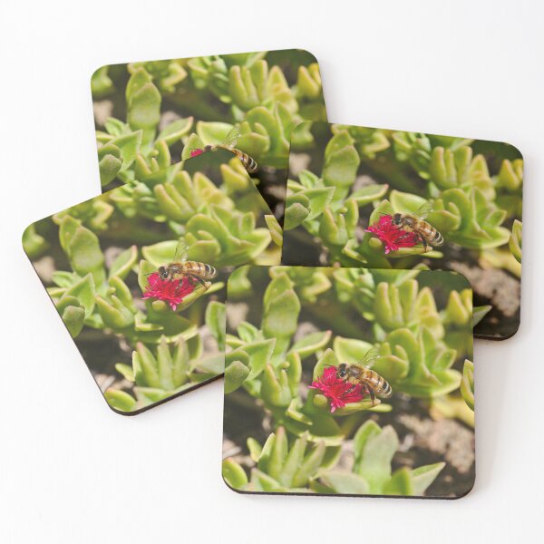 Item preview, A Bee Bee On A Pink Succulent Flower Bees designed and sold by Jason Gilbert.