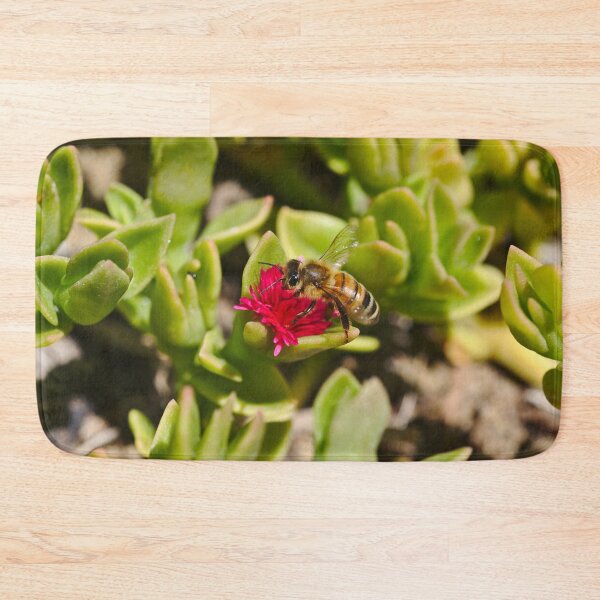 Item preview, A Bee Bee On A Pink Succulent Flower Bees designed and sold by Jason Gilbert.