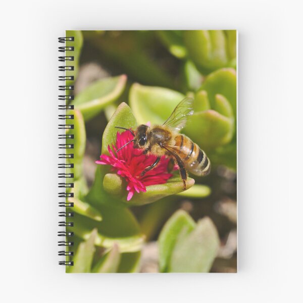 Item preview, A Bee Bee On A Pink Succulent Flower Bees designed and sold by Jason Gilbert.